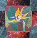 Strelitzia [Sold]