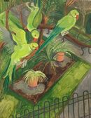 Rose Ringed Parakeets in Queens Park 2019 [Sold]