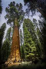 027 (General Sherman)