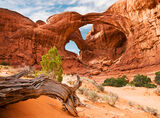 Arches-Double-arch-