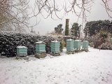February Snow 2018