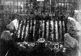 GBKA Slide Archive