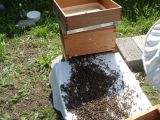 Hiving a Swarm