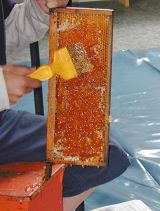 Extracting