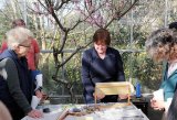 Jeannine Showing How To Place Wax Foundation In a Frame