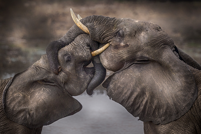 Tenderness at a young age