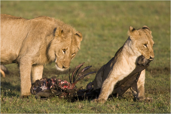 Sharing breakfast