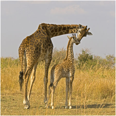 Caring mother