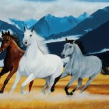 Arod Shadowfax and Hasufel