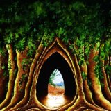 Into Middle-earth