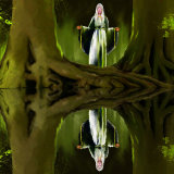 Lady of the Golden Wood