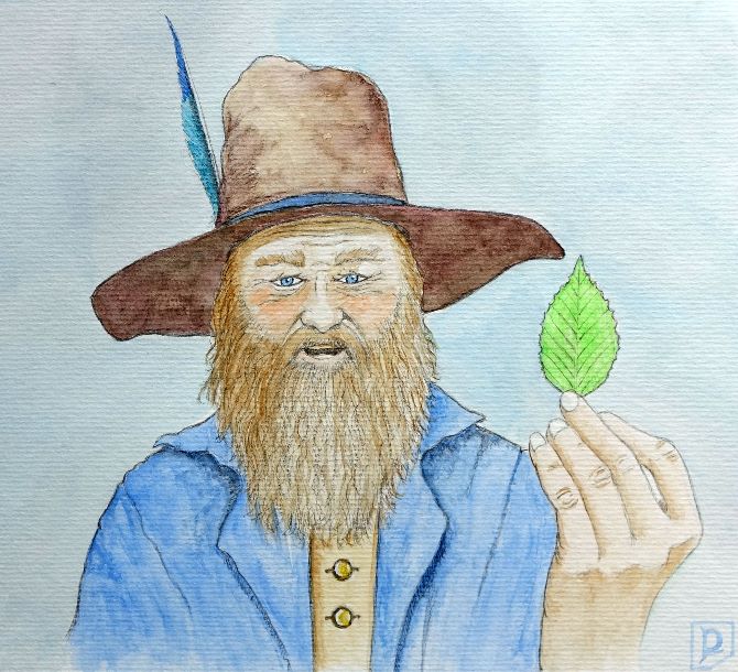 Tom Caught a Beechen Leaf