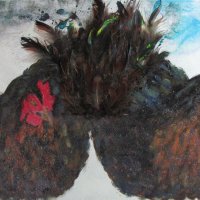 Black Rock Hens