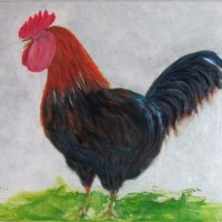 Black Rock Cockerel