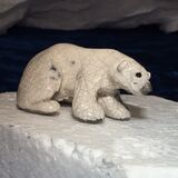 Narroadlerpok (chooses the best)