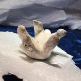 Napsiktok (flexible)