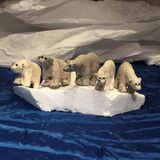 Nar, Koluk, Kik, Mikittok & Ardjuk