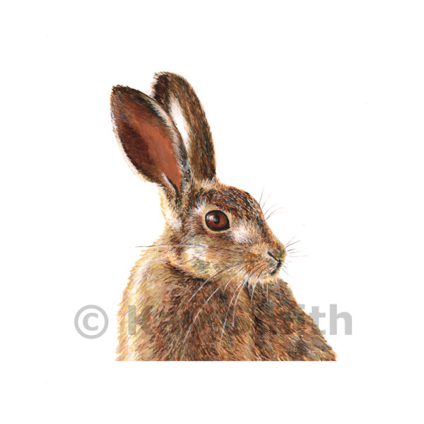 Dunster Hare