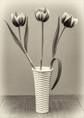 A monochrome selection.