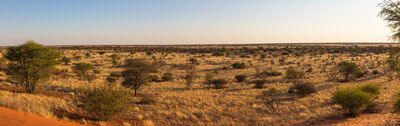 The Kalahari desert, Namibia.