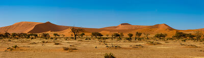 The dunes at Sussvlei, Namibia.