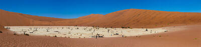 The Deadvlei at Sussusvlei.