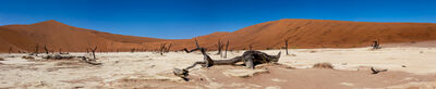 The Deadvlei at Sussusvlei.