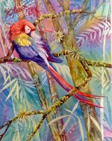 Scarlet Macaw