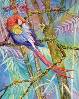 Scarlet Macaw in Corcovado