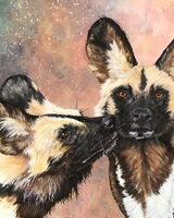 African Painted Dogs