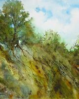 Buckinghamshire Landscape