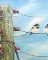 Baby Swallows on a Wire