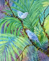 Blue Grey Tanagers