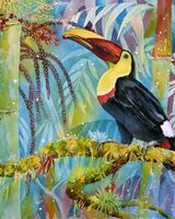 Chestnut Mandibled Toucan