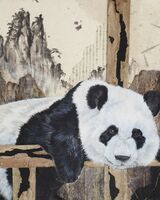 Giant Panda