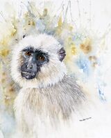 Langur