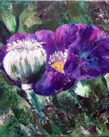Lilac Poppy
