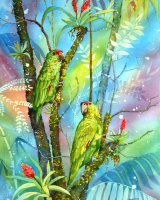 Red Lored Parrots in Costa Rica