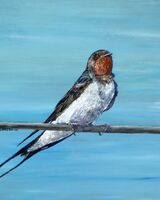 Swallow on a Wire