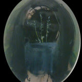 Private Collection