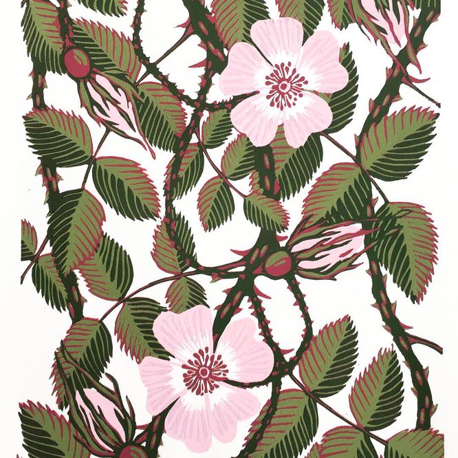 To a wild rose