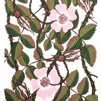 To a wild rose