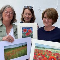 Poppies common ground