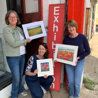 OFS poppies
