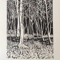 Winter woods at Stoke Row