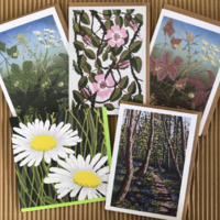 Pack of 5 cards "Wildflowers"