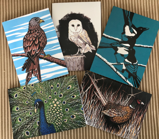 Pack of 5 cards "Birds"
