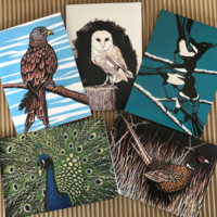 Pack of 5 cards "Birds"