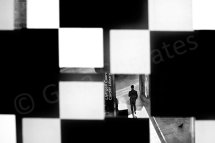 One Man And A Pigeon