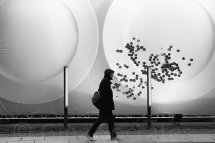 Every Picture Tells A Story